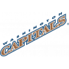 Логотип Washington Capitals - Вашингтон Кэпиталз