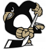 Логотип Pittsburgh Penguins	- Питтсбург Пингвинз