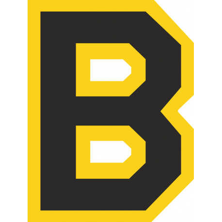 Логотип Boston Bruins - Бостон Брюинз